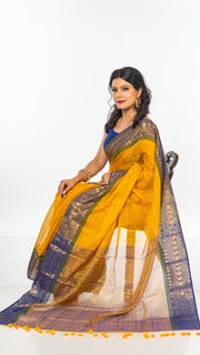 Pallavi Saree